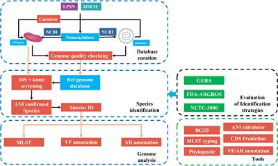 fIDBAC: A Platform for Fast Bacterial Genome Identification and Typing